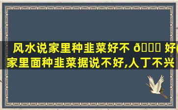 风水说家里种韭菜好不 🐕 好(家里面种韭菜据说不好,人丁不兴 🕊 旺)
